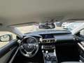Lexus IS 250 250 Executive Line Automatik*PDC*Garantie* Grey - thumbnail 14