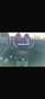 smart forFour 0.9 t Prime 90cv twinamic - thumbnail 1