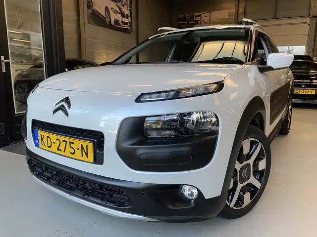 Citroen C4 Cactus 1.2 PureTech Rip Curl Pano, Camera, PDC, Navi