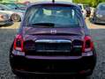 Fiat 500 Lounge,Mild-Hybrid, PDC,TOUCH, Komfort-Paket Paars - thumbnail 6