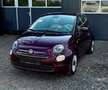 Fiat 500 Lounge,Mild-Hybrid, PDC,TOUCH, Komfort-Paket Paars - thumbnail 1