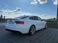 Audi A5 B8 SB 3,0 TFSI quattro S-tronic S-line Weiß - thumbnail 4
