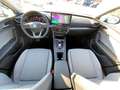SEAT Leon Style Edition 1.5eTSI DSG+Navi+DAB+Sitzhzg Weiß - thumbnail 12