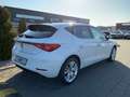 SEAT Leon Style Edition 1.5eTSI DSG+Navi+DAB+Sitzhzg Weiß - thumbnail 8