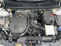 Mercedes-Benz CLA 200 Coupé AMG Line *AMG*Pano*Kam *MBUX* Weiß - thumbnail 19