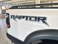 Ford Ranger RAPTOR 3.0 V6 EcoBoost - BVA Double Cabine Blanc - thumbnail 10