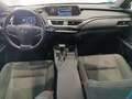 Lexus UX 250h Business 2WD Gris - thumbnail 14
