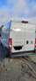 Fiat Ducato 140 L4H2 RS: 4035 mm Weiß - thumbnail 3