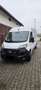 Fiat Ducato 140 L4H2 RS: 4035 mm Weiß - thumbnail 1