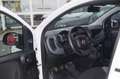 Fiat Panda 1.0 GSE S&S Hybrid Pop Van 2 posti Blanc - thumbnail 7