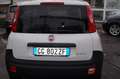Fiat Panda 1.0 GSE S&S Hybrid Pop Van 2 posti Wit - thumbnail 5