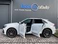 Audi SQ8 4.0 TFSI/Pano/AHK/STDHZG/HUD/22 Zoll/MWST Blanc - thumbnail 2
