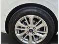 Ford Fiesta 1.1 75 CV 5p. Titanium TUA A € 13.950 CON USATOOK Weiß - thumbnail 23