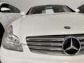 Mercedes-Benz CLS 320 320CDI Aut. Bianco - thumbnail 14
