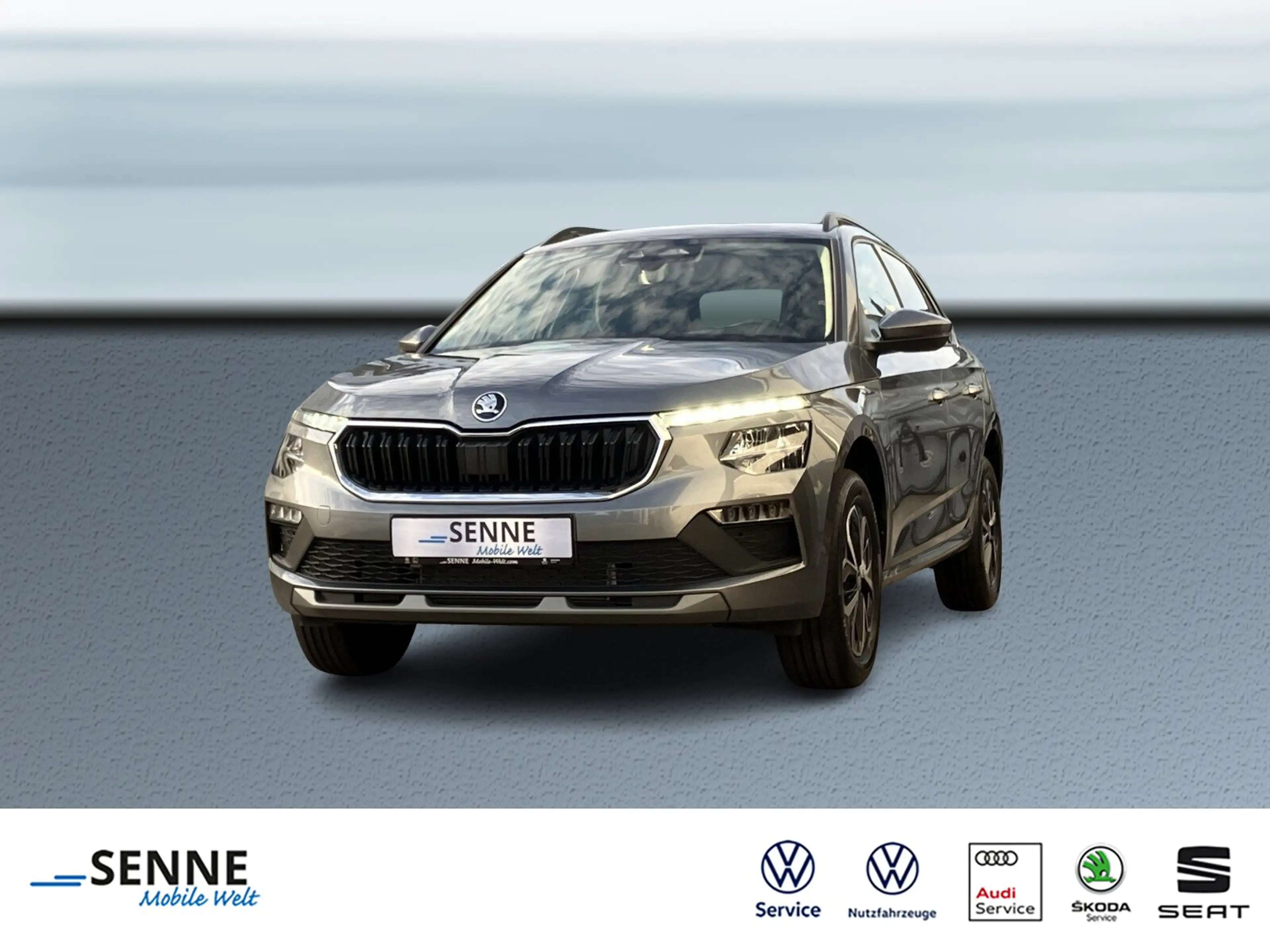 Skoda Kamiq Kamiq 1.0 TSI Selection LED,Kamera,Sitzhzg. BC/NSW