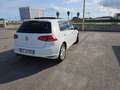 Volkswagen Golf Golf 5p 1.6 tdi Comfortline 110cv Bianco - thumbnail 5