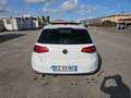Volkswagen Golf Golf 5p 1.6 tdi Comfortline 110cv Bianco - thumbnail 3