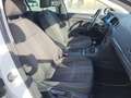 Volkswagen Golf Golf 5p 1.6 tdi Comfortline 110cv Bianco - thumbnail 9