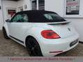 Volkswagen Beetle 1.4TSI DSG Sport Leder Fender Xenon 19" Weiß - thumbnail 4