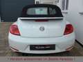 Volkswagen Beetle 1.4TSI DSG Sport Leder Fender Xenon 19" Weiß - thumbnail 6