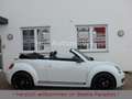 Volkswagen Beetle 1.4TSI DSG Sport Leder Fender Xenon 19" Weiß - thumbnail 3