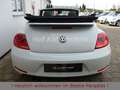 Volkswagen Beetle 1.4TSI DSG Sport Leder Fender Xenon 19" Weiß - thumbnail 17