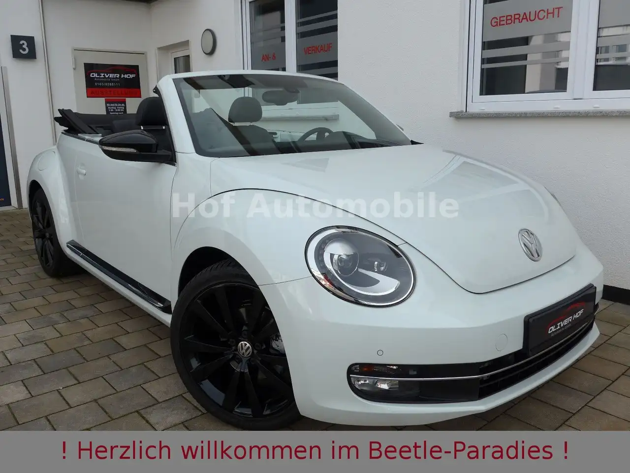 Volkswagen Beetle