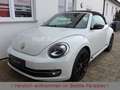 Volkswagen Beetle 1.4TSI DSG Sport Leder Fender Xenon 19" Weiß - thumbnail 7