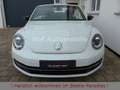 Volkswagen Beetle 1.4TSI DSG Sport Leder Fender Xenon 19" Weiß - thumbnail 5