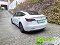 Tesla Model 3 RWD GARANZIA TESLA Blanc - thumbnail 11