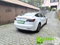 Tesla Model 3 RWD GARANZIA TESLA Blanc - thumbnail 13