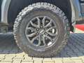 Ford Ranger 2,0 LAGER el.Rollo AHK Standheizung Np83t Schwarz - thumbnail 20