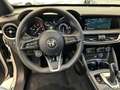 Alfa Romeo Stelvio 2.2 Turbodiesel 210 CV AT8 Q4 Ti Wit - thumbnail 8