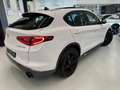 Alfa Romeo Stelvio 2.2 Turbodiesel 210 CV AT8 Q4 Ti Wit - thumbnail 5