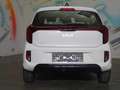 Kia Picanto 1,0 GDI Silber Aut. * SITZHEIZUNG, LENKRADHEIZU... Weiß - thumbnail 6