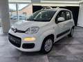 Fiat Panda Panda 1.0 I Dynamic 1er propriétaire !! Wit - thumbnail 4