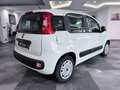 Fiat Panda Panda 1.0 I Dynamic 1er propriétaire !! Wit - thumbnail 6