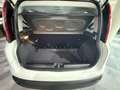 Fiat Panda Panda 1.0 I Dynamic 1er propriétaire !! Wit - thumbnail 10