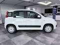 Fiat Panda Panda 1.0 I Dynamic 1er propriétaire !! Wit - thumbnail 9