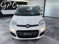 Fiat Panda Panda 1.0 I Dynamic 1er propriétaire !! Wit - thumbnail 2