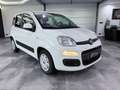 Fiat Panda Panda 1.0 I Dynamic 1er propriétaire !! Wit - thumbnail 3
