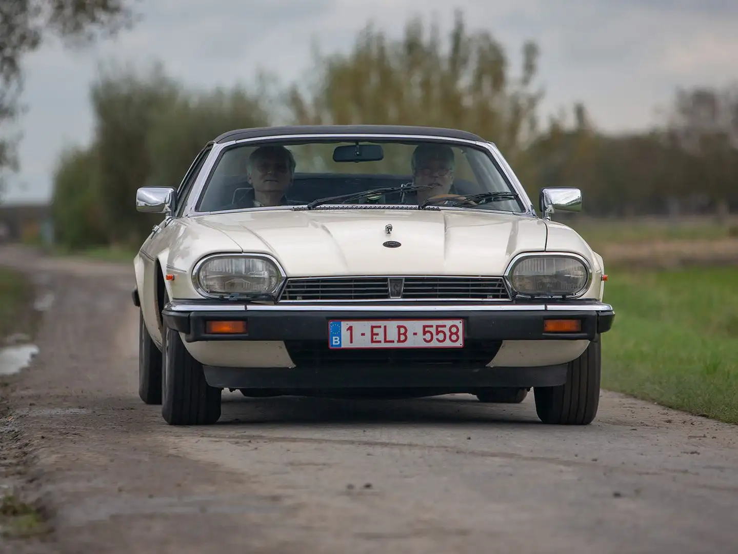 Jaguar XJS XJ-SC 3.6L LHD manual gearbox Blanc - 2