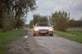 Jaguar XJS XJ-SC 3.6L LHD manual gearbox Blanc - thumbnail 1