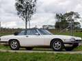 Jaguar XJS XJ-SC 3.6L LHD manual gearbox Blanc - thumbnail 5