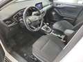 Ford Focus Turnier 1,0 EcoBoost Titanium Style Weiß - thumbnail 7