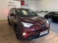 Toyota RAV 4 Hybrid Edition Rot - thumbnail 28