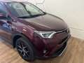 Toyota RAV 4 Hybrid Edition Rot - thumbnail 6