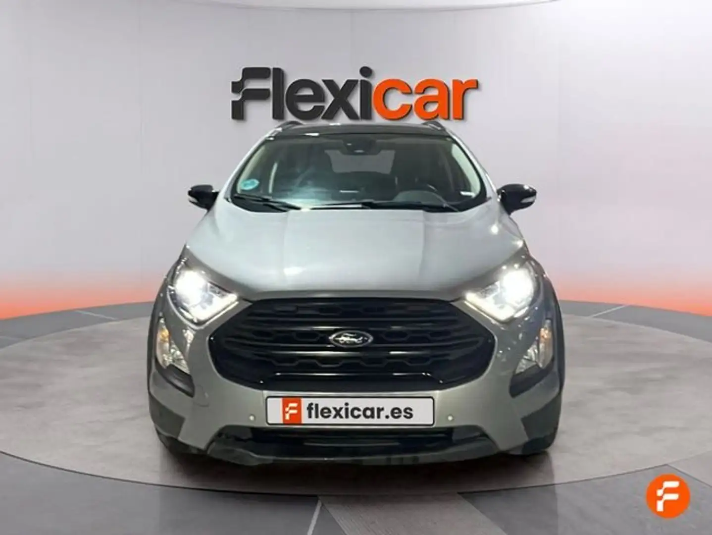 Ford EcoSport 1.0 EcoBoost Active 125 Gris - 2