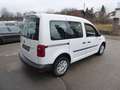 Volkswagen Caddy 2,0 TDI 5-SITZE Weiß - thumbnail 5