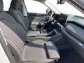 Skoda Kodiaq 2.0 TDI DSG 4x4 Selection HUD*PANO*LED*ACC*NAVI... Grau - thumbnail 10